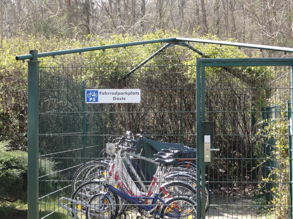 Im Dünenpark *